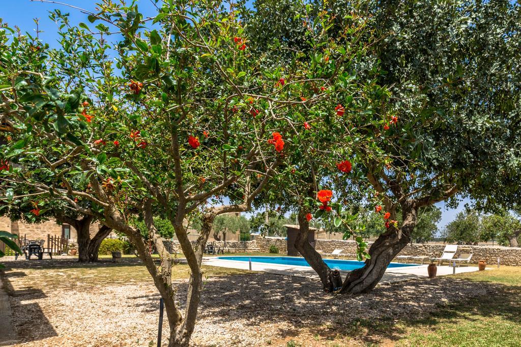 La Muraglia Residenza Turistica Rurale Санта-Кроче- Камерина Экстерьер фото